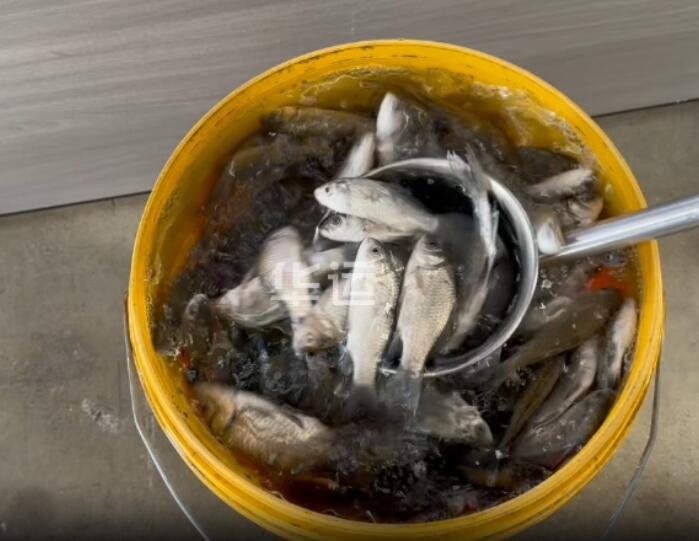 用于魚(yú)類輸送